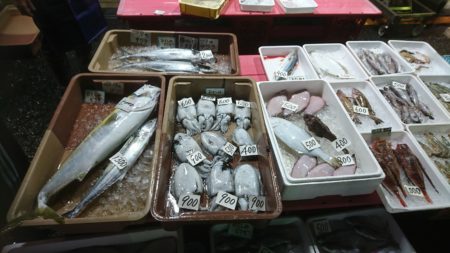 店先のサワラ