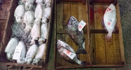 クロダイ800円